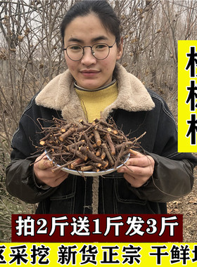 干品新鲜桃树根桃头桃子根毛桃根山桃根茎桃树皮中药材桃树枝叶