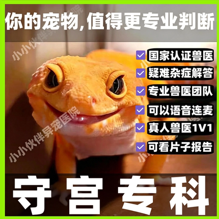 异宠医生线上咨询24小时睫角守宫蜥蜴豹纹守宫鬃狮蜥爬宠生病问诊