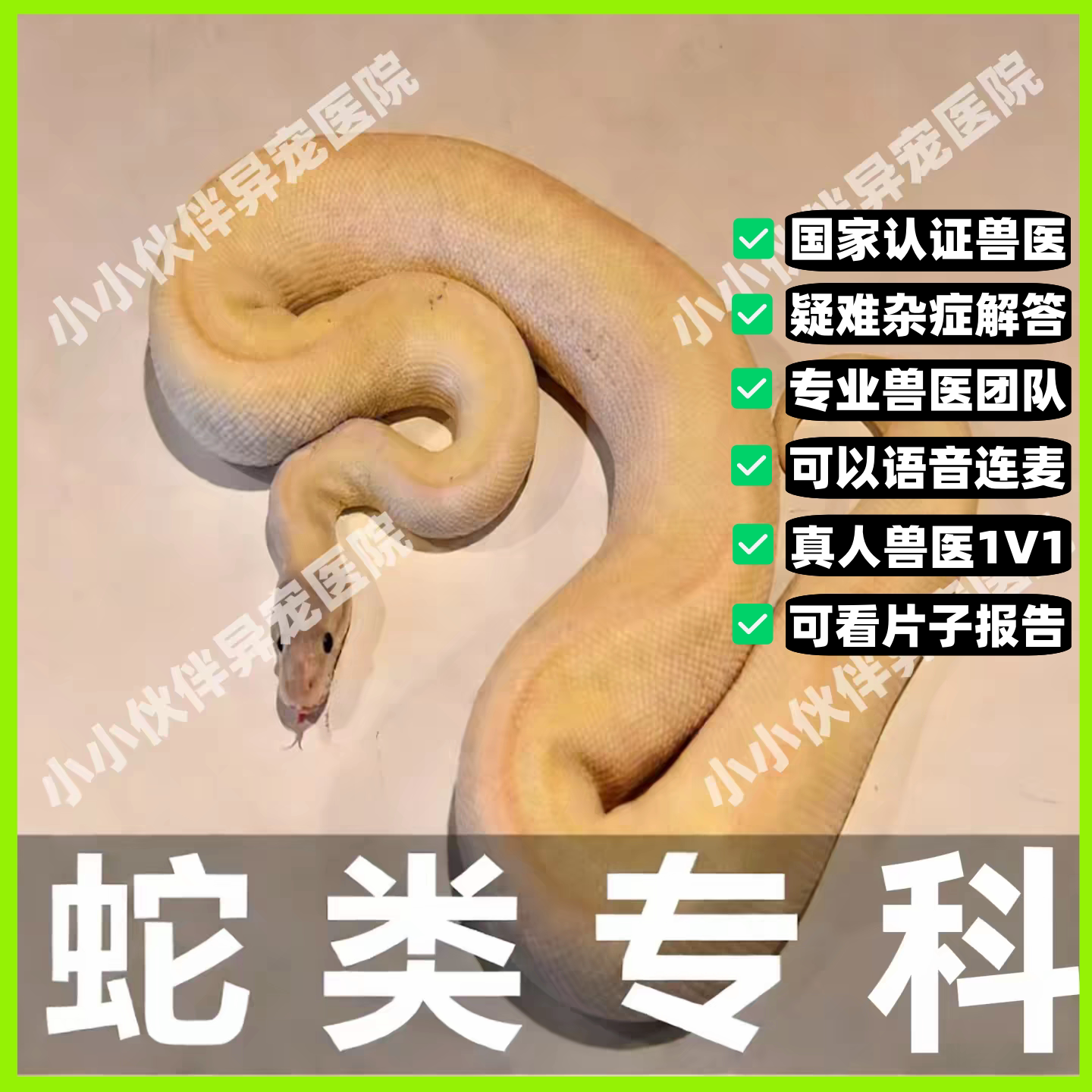异宠医生线上咨询24小时 生病诊疗中心宠物医疗兽医看病 蛇类问诊