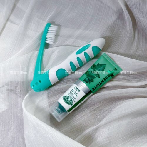 现货韩国DENTISTE限定便携折叠牙刷牙膏20g套装护龈出差旅行收纳
