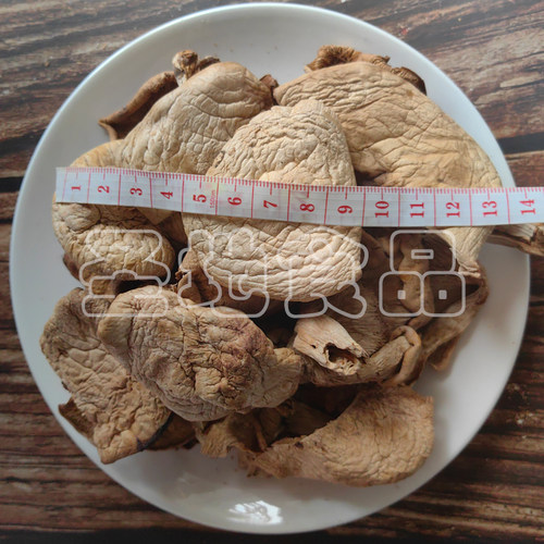 山西特产野生250克新鲜蘑菇