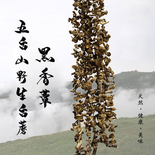 台蘑食用菌干货蘑菇蘑菇