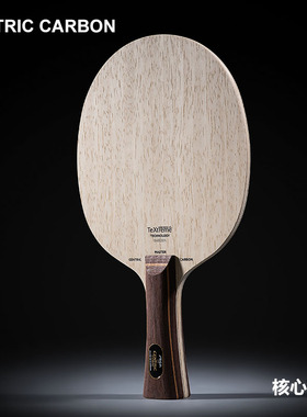 初心 STIGA斯帝卡斯蒂卡核心灵感碳素乒乓球底板球拍INSPIRA CCF