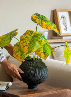 掬涵仿真绿植海芋叶假花摆设轻奢高端仿真花客厅桌面装饰插花摆件