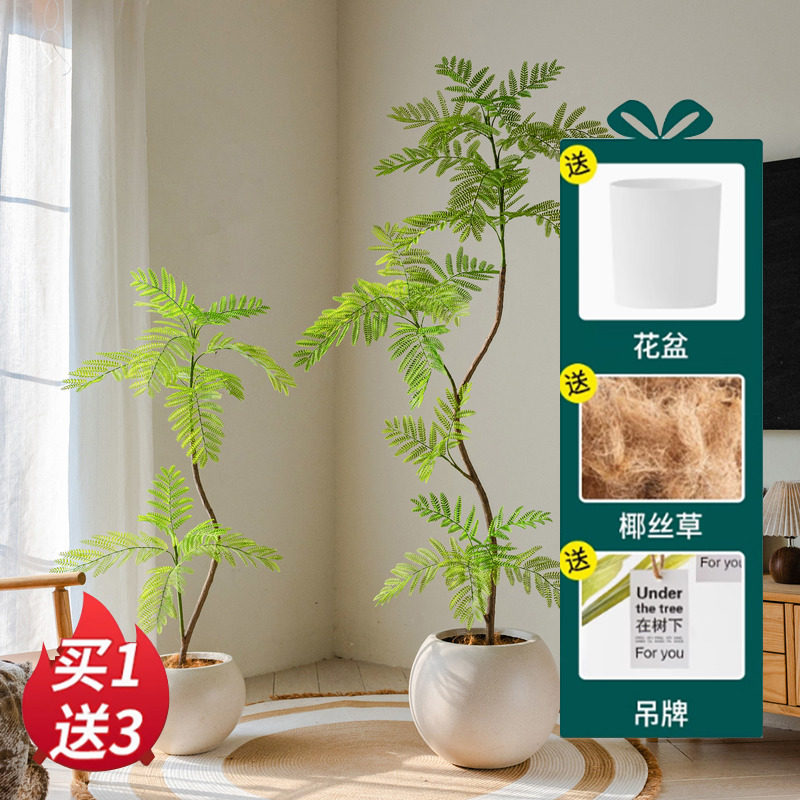 仿真蓝花楹盆栽仿生植物高端轻奢室内装饰摆件客厅假植物落地假树,家居饰品,仿真植物盆景,淘宝优惠券,粉丝福利购,淘宝优惠卷