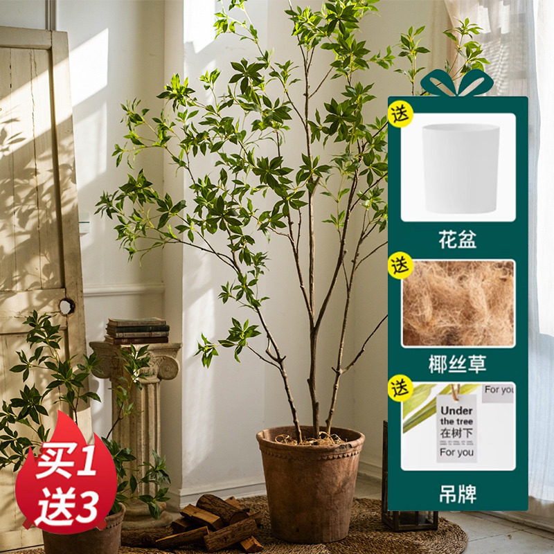 仿真吊钟绿植小型马醉木室内客厅装饰仿生植物假绿植大型落地假树,家居饰品,仿真植物盆景,淘宝优惠券,粉丝福利购,淘宝优惠卷