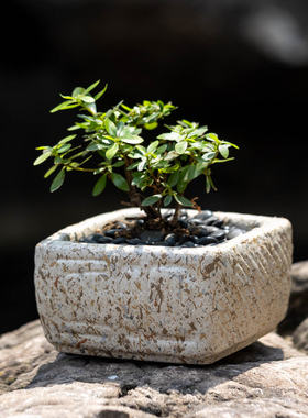掬涵仿石禅意山水花盆摆件