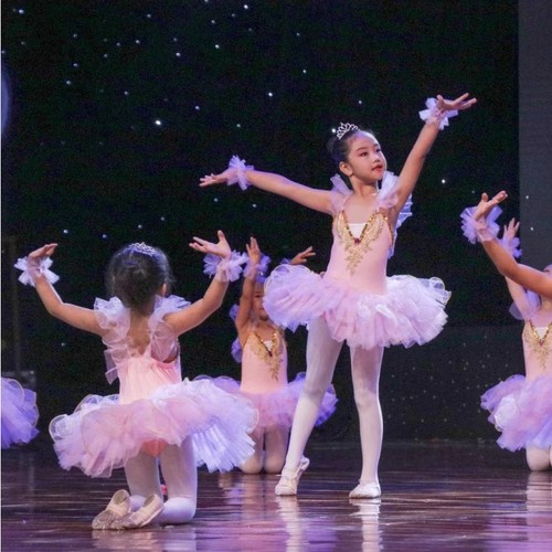 芭蕾舞蹈裙儿童舞蹈演出服