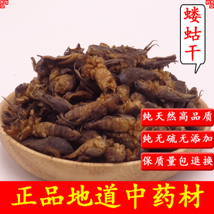 中药材蝼蛄干500g天然正品干货蝼蛄土狗地狗草狗拉拉蛄另有五谷虫