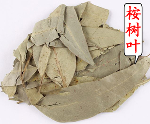 蜜袋鼯垫材除臭杀菌 零食粮食 烘干桉树叶尤加利叶洗脸桉叶500克