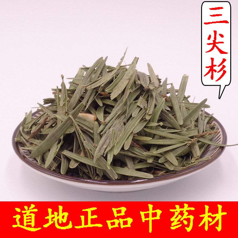 中药材 三尖杉  榧子 血榧 石榧 水柏子 藏杉 桃松正品500克