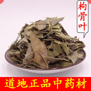 中药材功劳叶十大功劳叶枸骨叶猫儿刺八角刺老虎刺叶 500克