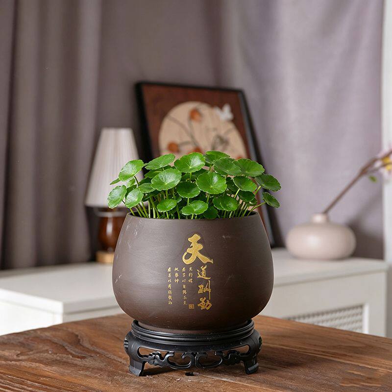 紫砂无孔水培花盆陶瓷盆景阳台摆件铜钱草吊兰荷花缸碗莲专用盆缸