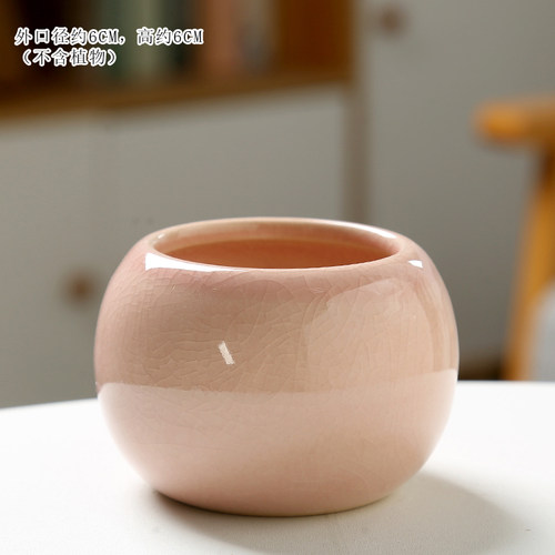 多肉花盆冰裂小巧可爱特价桌面装饰肉肉花盆卡通造型简约陶瓷家用