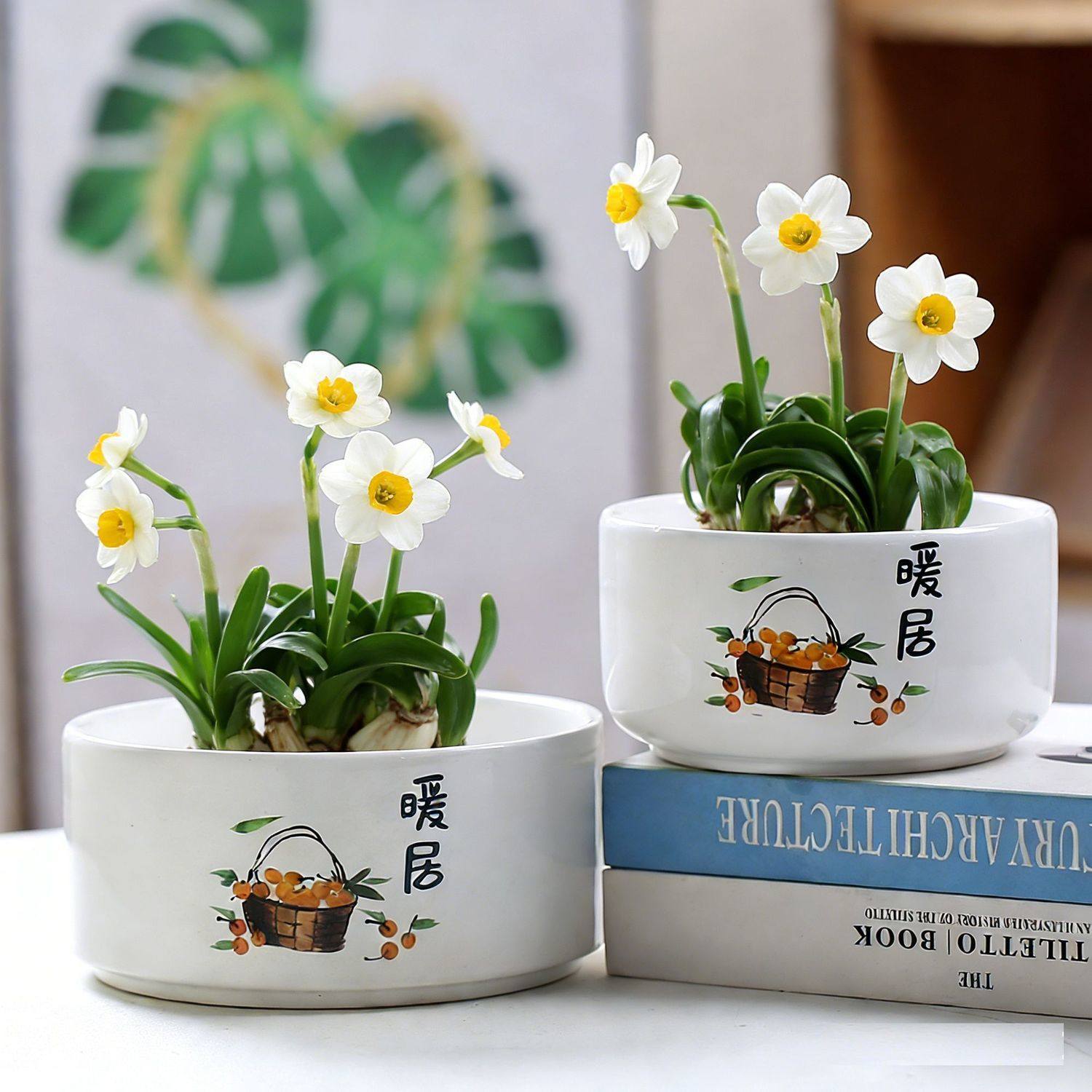 水培花盆陶瓷带托盘水仙花金钱草睡莲桌面装饰一叶莲中大号无孔