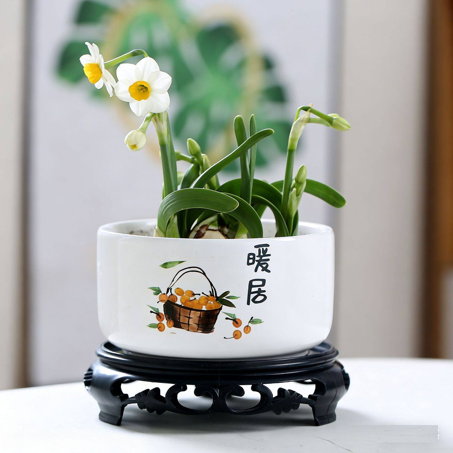 水培花盆陶瓷带托盘水仙花金钱草中大号无孔睡莲一叶莲桌面装饰