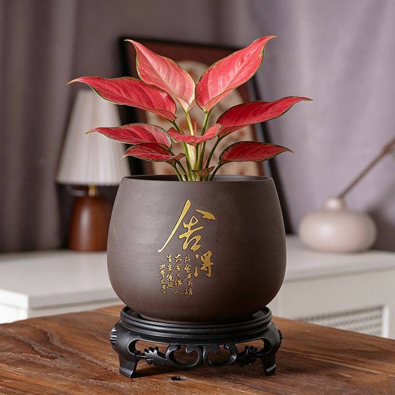 紫砂无孔水培花盆陶瓷盆景阳台摆件吊兰荷花缸铜钱草碗莲专用盆缸