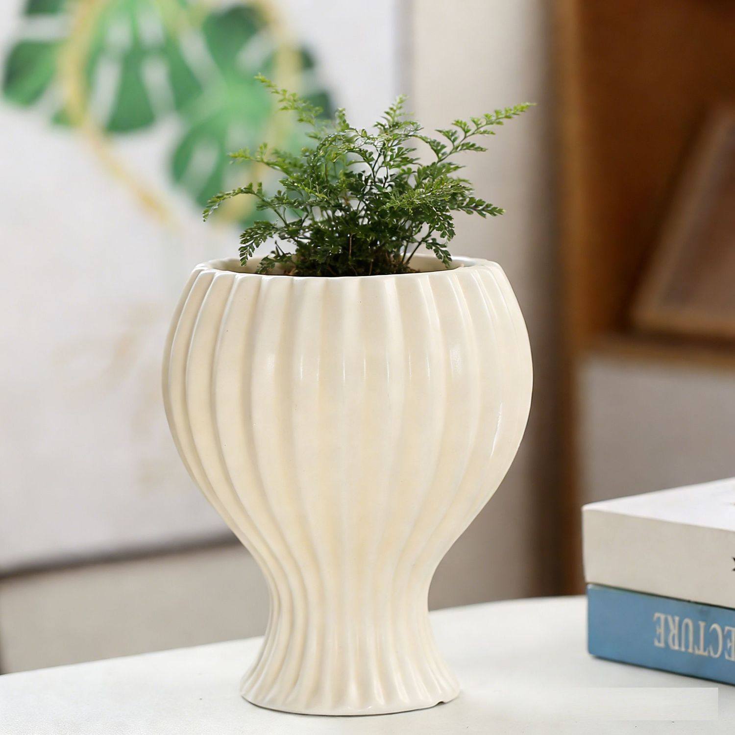 ins奶油风陶瓷花盆蝴蝶兰梦香兰北欧轻奢家用多肉绿植盆景盆简约,鲜花速递/花卉仿真/绿植园艺,花盆,淘宝优惠券,粉丝福利购,淘宝优惠卷