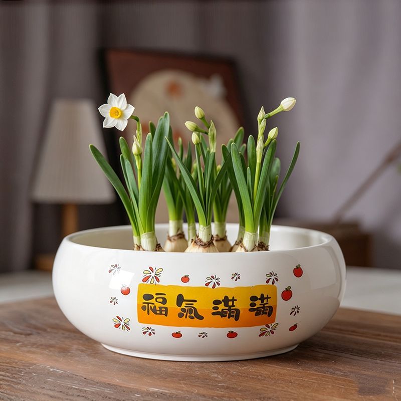 水培花盆陶瓷水仙花一叶莲莲花睡莲大号缸盆无孔碗莲铜钱草绿植盆