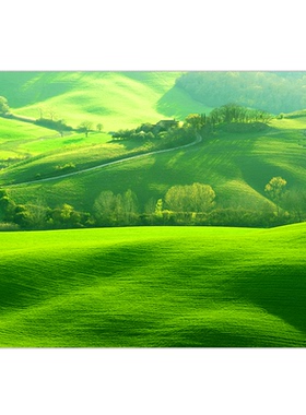 花草树木贴画绿色大树招财镇宅风水画草坪草地护眼图客厅书房自粘