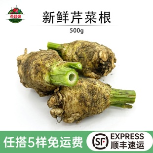 新鲜根芹食用芹菜根洋芹celeriac芹菜球西餐酒店特色食材香料蔬菜