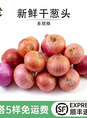 特香干葱头农家迷你红葱头小毛葱头葱油西餐香料酱料调味调料蔬菜