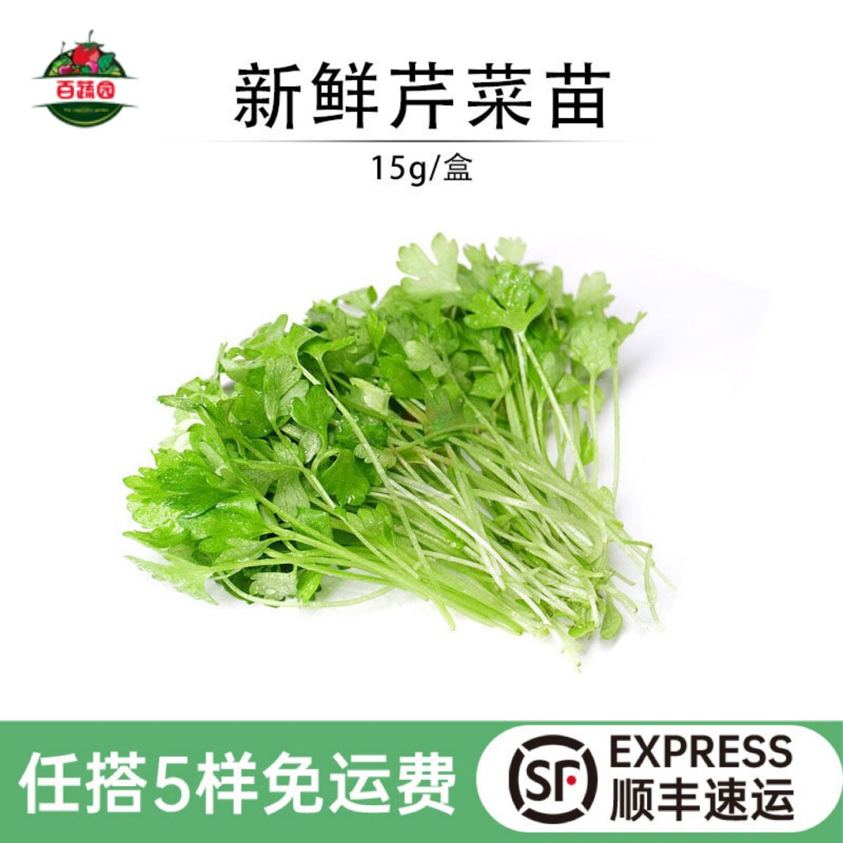 新鲜芹菜苗 香芹苗三叶香可食用蔬菜酒店西餐摆盘冷艺装饰点缀芽