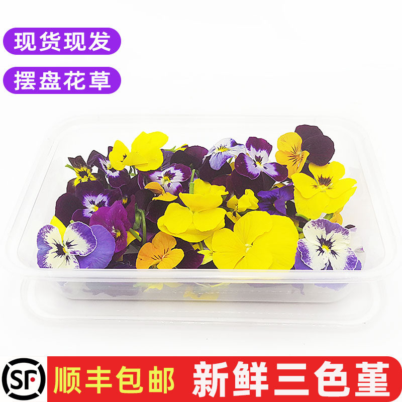 三色堇50朵新鲜三色花可食用花西餐摆盘甜品烘焙蛋糕装饰花草包邮