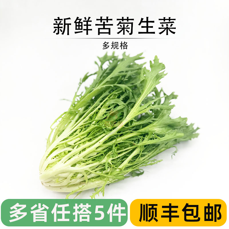 苦菊生菜新鲜九芽苦苣细叶西餐摆盘轻食健身清洗即食沙拉蔬菜食材 水产肉类/新鲜蔬果/熟食 其它 原图主图