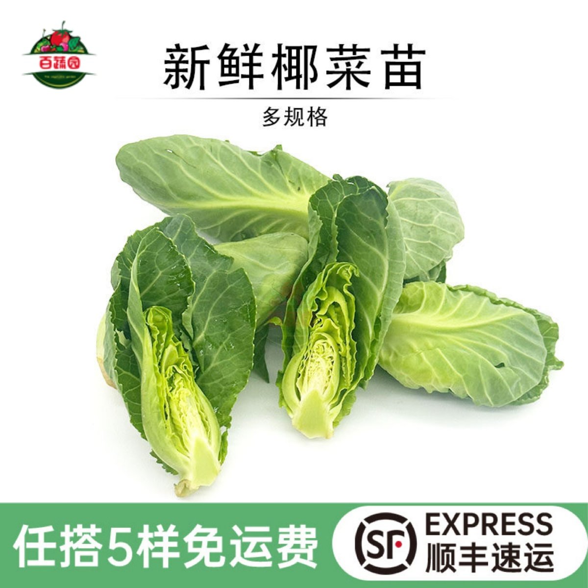 新鲜椰菜苗绿色雪莲苗侧芽娃娃包菜高端酒店饭店特色精品蔬菜食材,水产肉类/新鲜蔬果/熟食,其它,淘宝优惠券,粉丝福利购,淘宝优惠卷