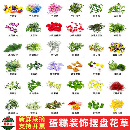 新鲜三色堇蛋糕摆盘装饰商用花草