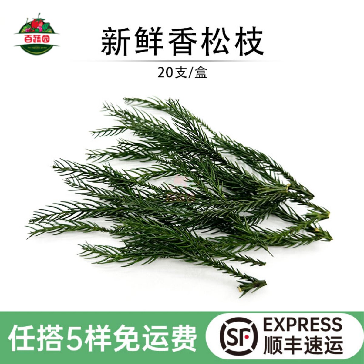 新鲜香松枝烘培蛋糕装饰点缀花草