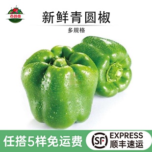 青圆椒新鲜柿子椒圆椒灯笼椒农家种植不辣绿彩椒青椒炒食蔬菜现货