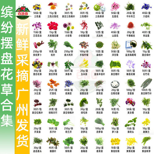 新鲜花草苗西餐日料蛋糕摆盘装饰