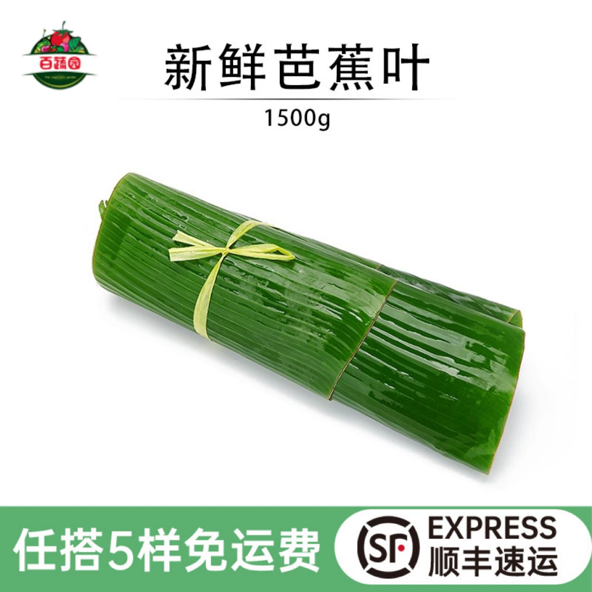 垫盘糍粑包粽子叶新鲜芭蕉叶农家