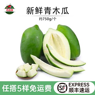 新鲜广西青木瓜腌酸生木瓜泰式凉拌木瓜丝蔬菜沙拉产妇下奶番木瓜