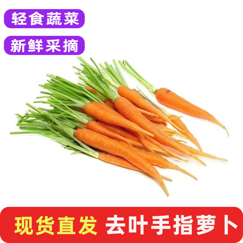 新鲜去叶手指胡萝卜轻食沙拉蔬菜
