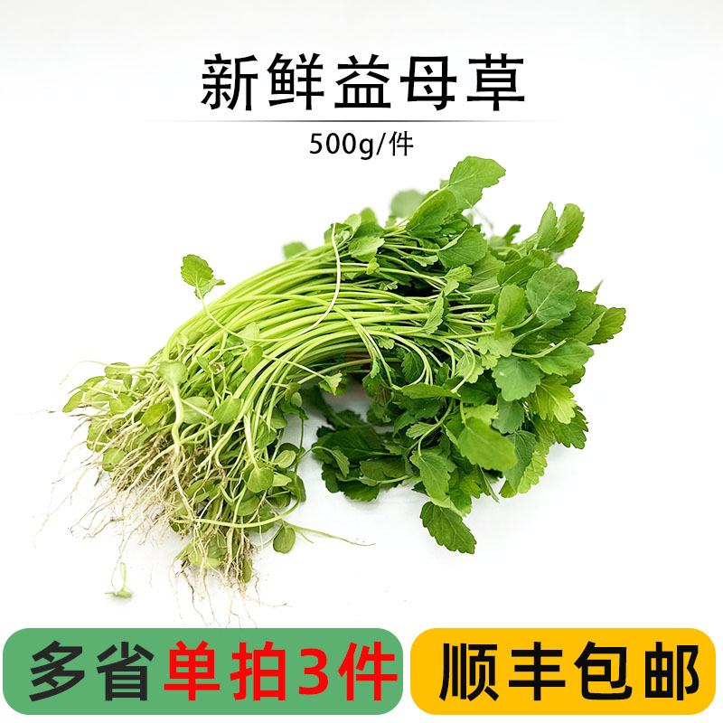 新鲜益母草野菜新鲜坤草菜沙青麻农庄上汤野菜蔬菜 3份顺丰包邮-封面