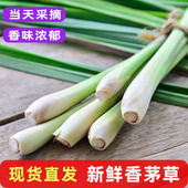 香茅草新鲜柠檬草叶食用香料菜奶茶店用品调料泰餐冬阴功原料 包邮