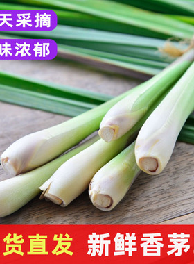 香茅草新鲜柠檬草叶食用香料菜奶茶店用品调料泰餐冬阴功原料包邮