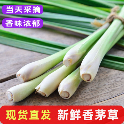 新鲜香茅草冬阴功汤饮品食材包邮