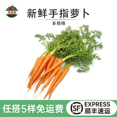 新鲜带叶手指胡萝卜西餐沙拉食材