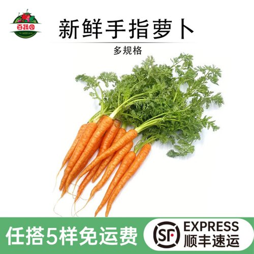 带叶手指胡萝卜新鲜蔬菜迷你水果胡萝卜西餐沙拉食材宝宝辅食蔬菜 - 封面