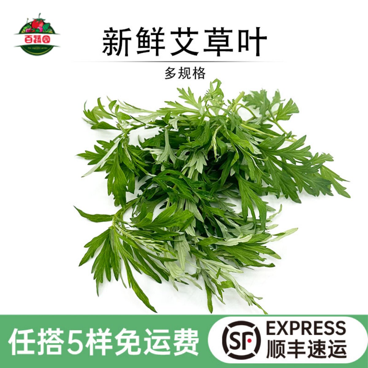 艾草新鲜生艾叶食用野菜清明草青团糍粑艾草叶嫩叶艾蒿现摘发顺丰