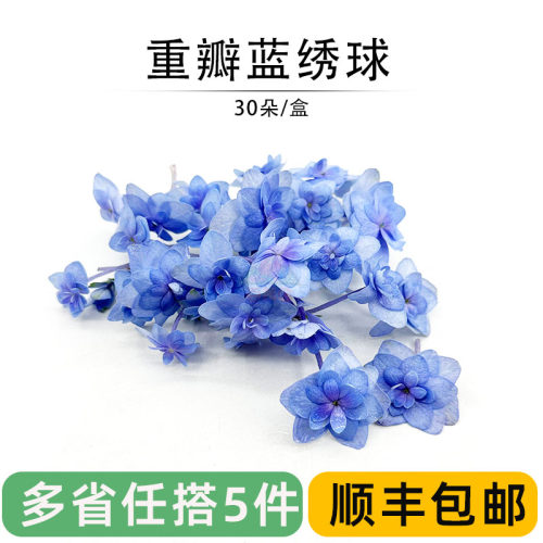 绣球花新鲜重瓣蓝绣球30朵西餐酒店摆盘装饰花草日料蛋糕点缀鲜花