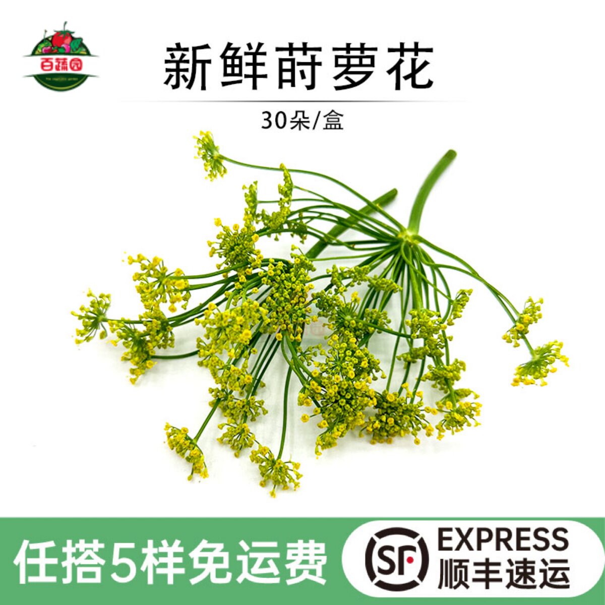 小莳萝花新鲜茴香花西餐日料酒店摆盘装饰点缀微型花朵鲜花草30朵