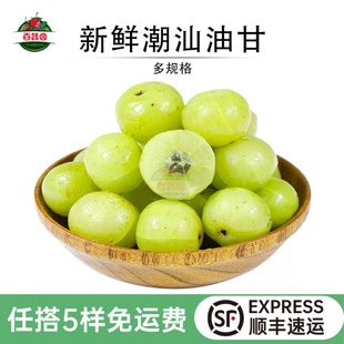 潮汕青油甘果新鲜余甘子油柑子奶茶店用榨汁酥脆水果食材生吃回甘