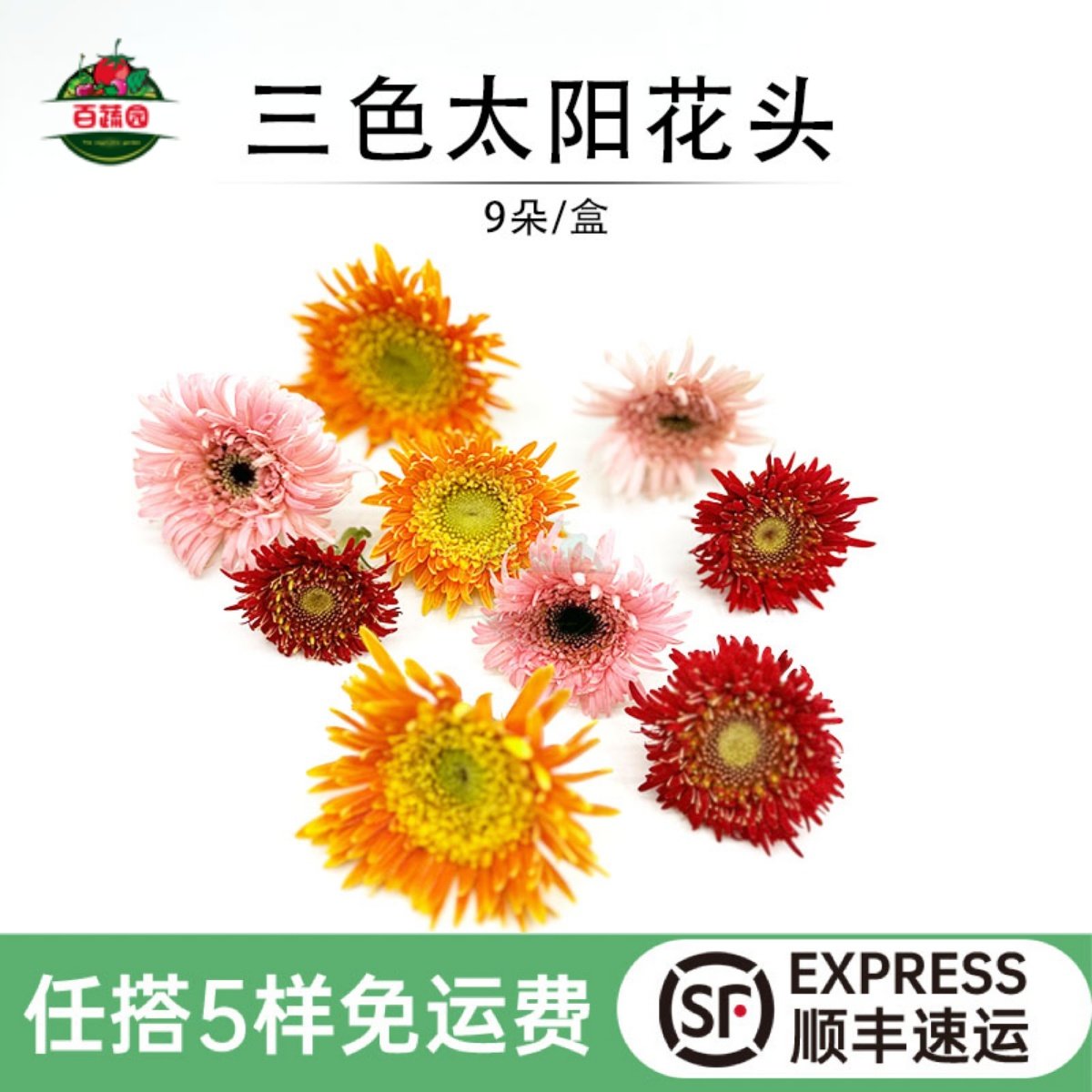 新鲜金盏丝头 彩菊太阳花头 弗朗花头三色花朵蛋糕西餐厅摆盘装饰