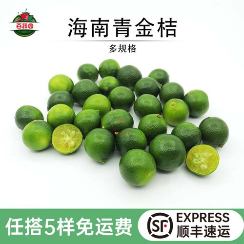 酸爽调料奶茶水果海南小金桔