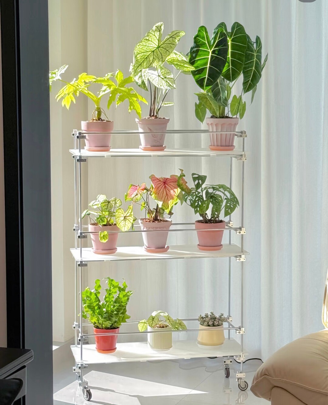 光轴花架置物架亚克力落地推车彩叶芋花架展示机图片